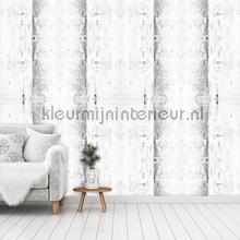 Atlas Wallcoverings Modern Art 2114-1 | Bestellen bij https://www.kleurmijninterieur.nl/