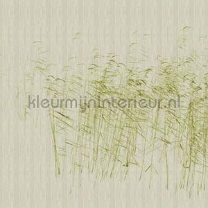 AS Creation Walls by Patel 3 DD122052 | Bestellen bij https://www.kleurmijninterieur.nl/