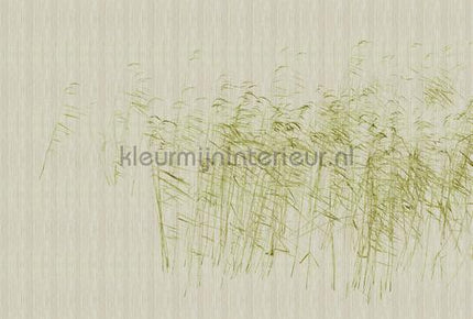 AS Creation Walls by Patel 3 DD122052 | Bestellen bij https://www.kleurmijninterieur.nl/