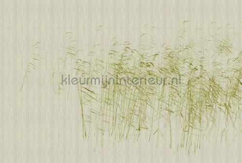 AS Creation Walls by Patel 3 DD122052 | Bestellen bij https://www.kleurmijninterieur.nl/