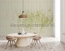 AS Creation Walls by Patel 3 DD122052 | Bestellen bij https://www.kleurmijninterieur.nl/