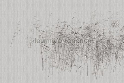 AS Creation Walls by Patel 3 DD122056 | Bestellen bij https://www.kleurmijninterieur.nl/