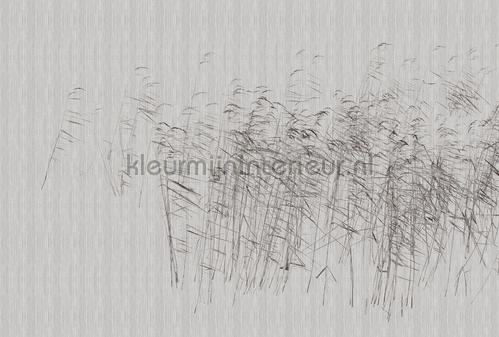 AS Creation Walls by Patel 3 DD122056 | Bestellen bij https://www.kleurmijninterieur.nl/