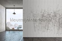 AS Creation Walls by Patel 3 DD122056 | Bestellen bij https://www.kleurmijninterieur.nl/