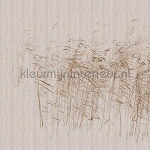 AS Creation Walls by Patel 3 DD122060 | Bestellen bij https://www.kleurmijninterieur.nl/