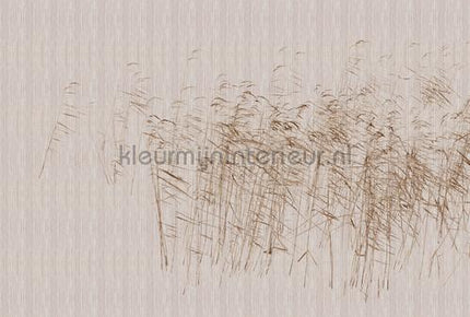 AS Creation Walls by Patel 3 DD122060 | Bestellen bij https://www.kleurmijninterieur.nl/