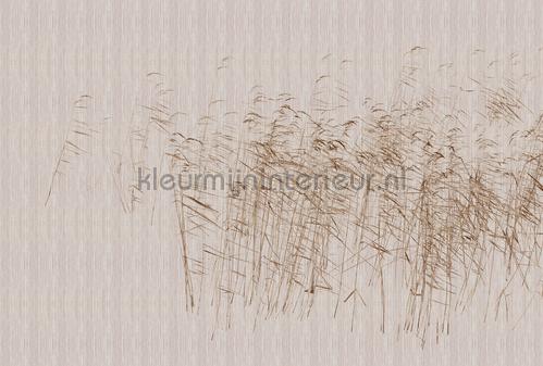 AS Creation Walls by Patel 3 DD122060 | Bestellen bij https://www.kleurmijninterieur.nl/