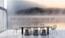 AS Creation Walls by Patel 3 DD122064 | Bestellen bij https://www.kleurmijninterieur.nl/
