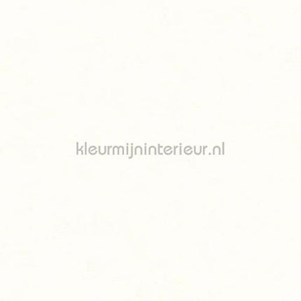 Hookedonwalls Caribbean 27251 | Bestellen bij https://www.kleurmijninterieur.nl/