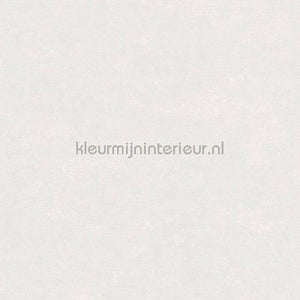 Hookedonwalls Caribbean 27255 | Bestellen bij https://www.kleurmijninterieur.nl/