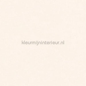 Hookedonwalls Caribbean 27256 | Bestellen bij https://www.kleurmijninterieur.nl/
