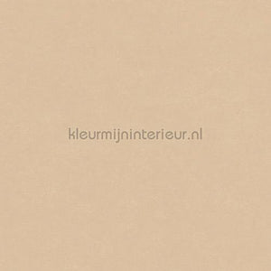 Hookedonwalls Caribbean 27258 | Bestellen bij https://www.kleurmijninterieur.nl/