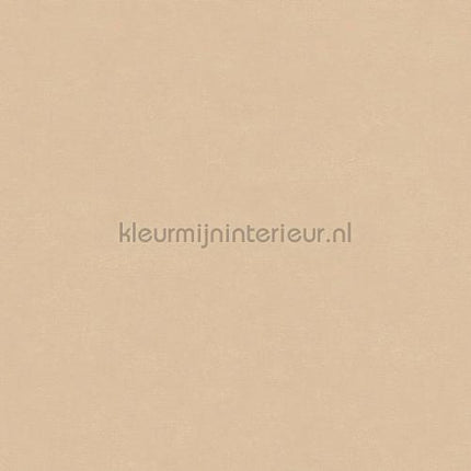Hookedonwalls Caribbean 27258 | Bestellen bij https://www.kleurmijninterieur.nl/