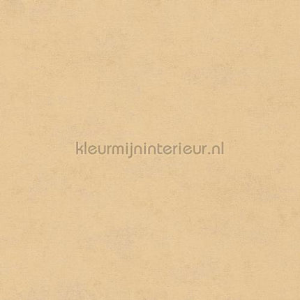 Hookedonwalls Caribbean 27259 | Bestellen bij https://www.kleurmijninterieur.nl/