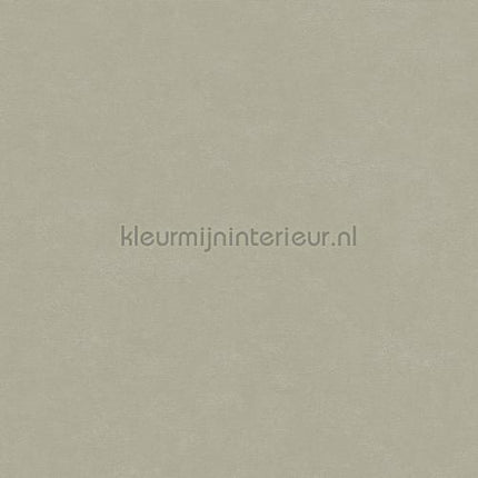 Hookedonwalls Caribbean 27261 | Bestellen bij https://www.kleurmijninterieur.nl/