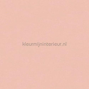 Hookedonwalls Caribbean 27264 | Bestellen bij https://www.kleurmijninterieur.nl/