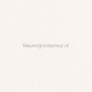 Hookedonwalls Caribbean 27267 | Bestellen bij https://www.kleurmijninterieur.nl/