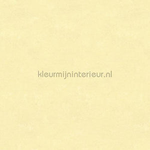 Hookedonwalls Caribbean 27269 | Bestellen bij https://www.kleurmijninterieur.nl/