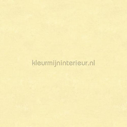 Hookedonwalls Caribbean 27269 | Bestellen bij https://www.kleurmijninterieur.nl/