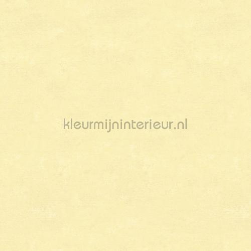 Hookedonwalls Caribbean 27269 | Bestellen bij https://www.kleurmijninterieur.nl/