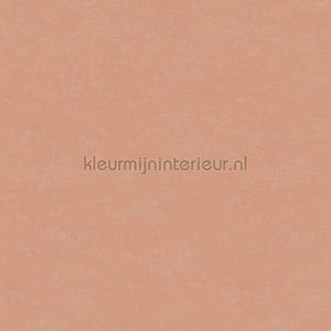Hookedonwalls Caribbean 27270 | Bestellen bij https://www.kleurmijninterieur.nl/