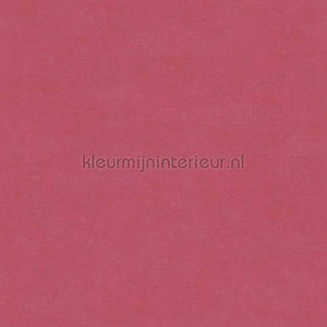Hookedonwalls Caribbean 27272 | Bestellen bij https://www.kleurmijninterieur.nl/