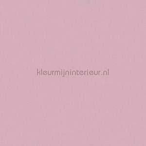 Hookedonwalls Caribbean 27273 | Bestellen bij https://www.kleurmijninterieur.nl/