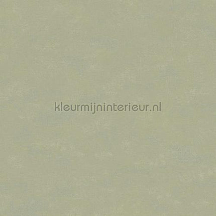Hookedonwalls Caribbean 27275 | Bestellen bij https://www.kleurmijninterieur.nl/