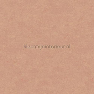 Hookedonwalls Caribbean 27283 | Bestellen bij https://www.kleurmijninterieur.nl/