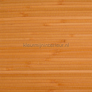 Rodeka Savanna 30-002 | Bestellen bij https://www.kleurmijninterieur.nl/