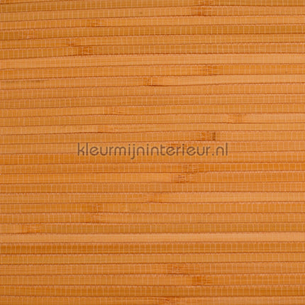 Rodeka Savanna 30-002 | Bestellen bij https://www.kleurmijninterieur.nl/