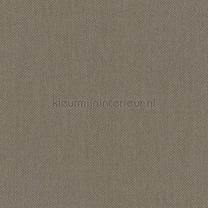 Hookedonwalls Lemuria 60633 | Bestellen bij https://www.kleurmijninterieur.nl/