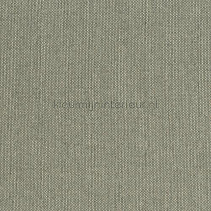 Hookedonwalls Lemuria 60634 | Bestellen bij https://www.kleurmijninterieur.nl/