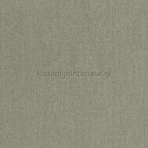 Hookedonwalls Lemuria 60634 | Bestellen bij https://www.kleurmijninterieur.nl/