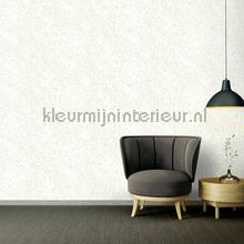 Versace wallpaper Versace 4 935852 | Bestellen bij https://www.kleurmijninterieur.nl/