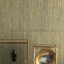 Khroma Cabinet of Curiosities CAB005 | Bestellen bij https://www.kleurmijninterieur.nl/