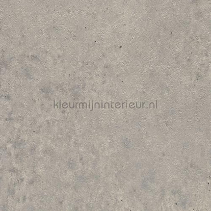 Bodaq Stenen Beton ns402 | Bestellen bij https://www.kleurmijninterieur.nl/