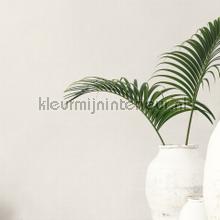 Noordwand Small Prints G56684 | Bestellen bij https://www.kleurmijninterieur.nl/