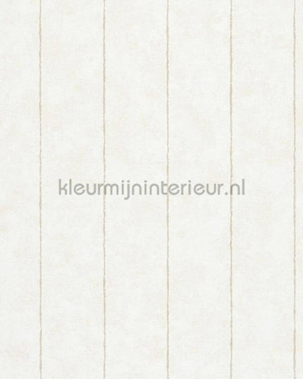 Noordwand Shades Iconic 34402 | Bestellen bij https://www.kleurmijninterieur.nl/