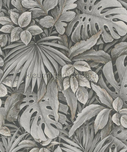 Noordwand Botanica 33305 | Bestellen bij https://www.kleurmijninterieur.nl/