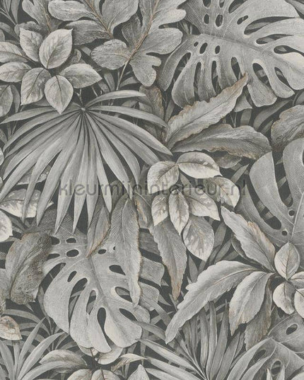 Noordwand Botanica 33305 | Bestellen bij https://www.kleurmijninterieur.nl/