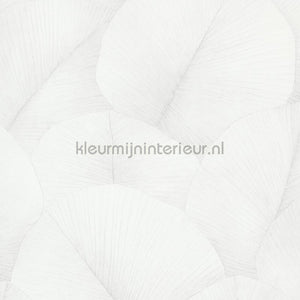 Noordwand Kumano 34507 | Bestellen bij https://www.kleurmijninterieur.nl/