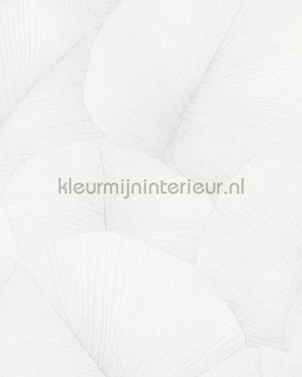 Noordwand Kumano 34507 | Bestellen bij https://www.kleurmijninterieur.nl/