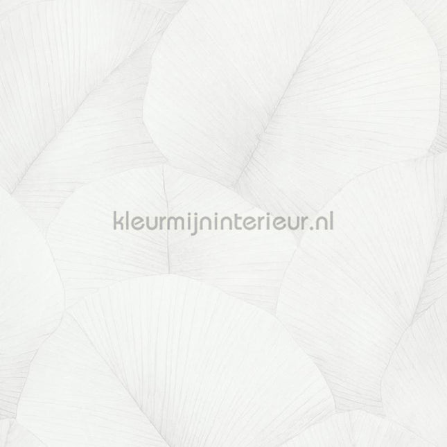 Noordwand Kumano 34507 | Bestellen bij https://www.kleurmijninterieur.nl/