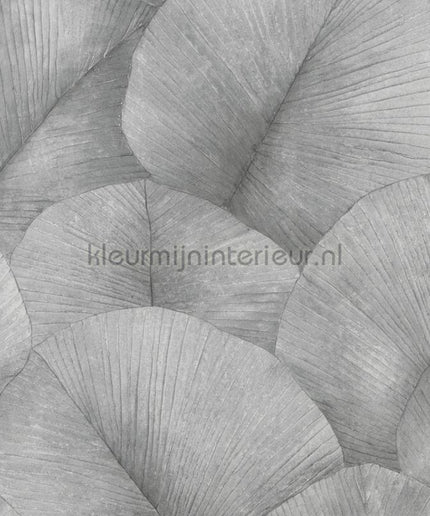 Noordwand Kumano 34508 | Bestellen bij https://www.kleurmijninterieur.nl/