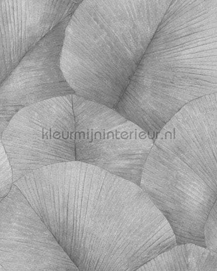 Noordwand Kumano 34508 | Bestellen bij https://www.kleurmijninterieur.nl/