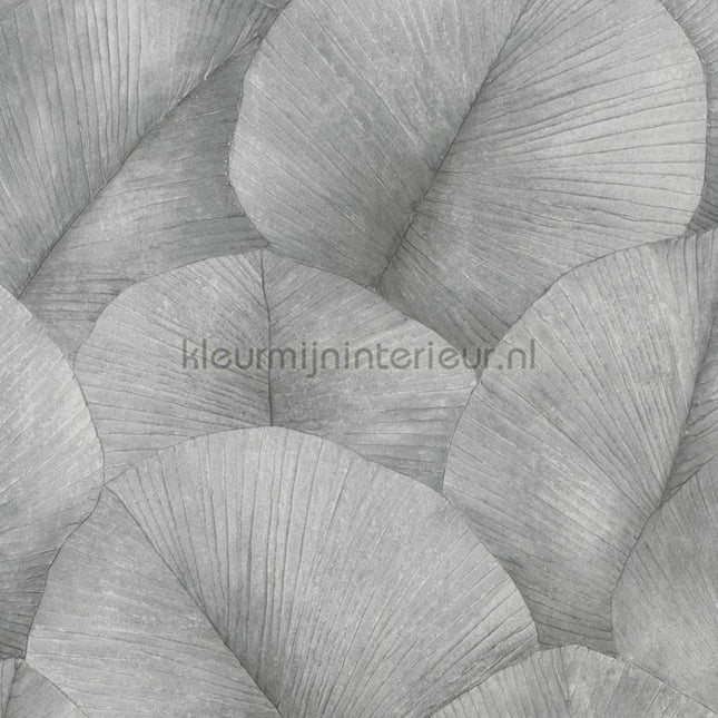 Noordwand Kumano 34508 | Bestellen bij https://www.kleurmijninterieur.nl/