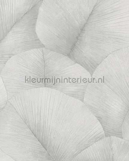 Noordwand Kumano 34509 | Bestellen bij https://www.kleurmijninterieur.nl/