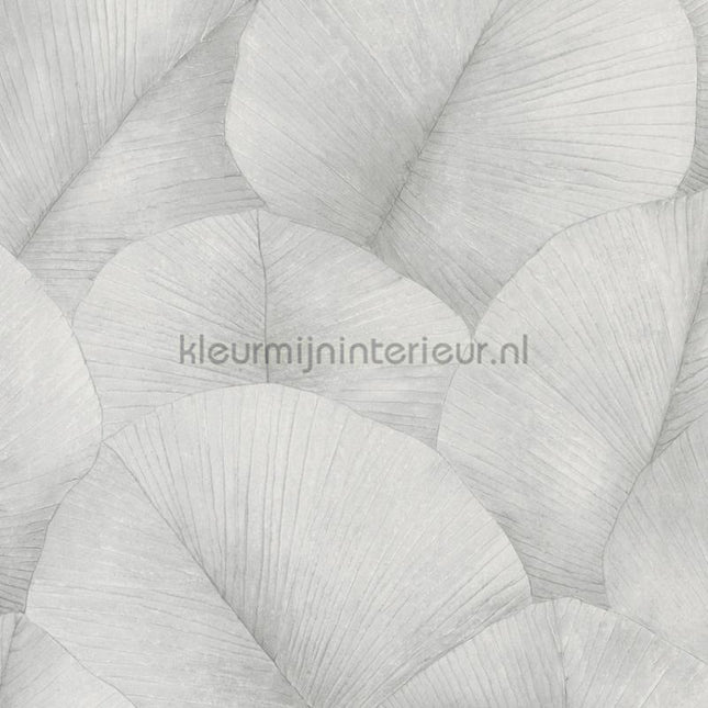 Noordwand Kumano 34509 | Bestellen bij https://www.kleurmijninterieur.nl/
