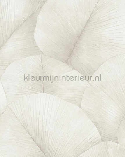 Noordwand Kumano 34510 | Bestellen bij https://www.kleurmijninterieur.nl/